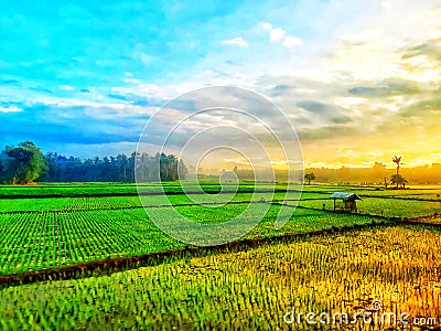 view of the rice fields in the villag. this is in Jember in a small town in Indonesia. this view is very beautiful. Stock Photo