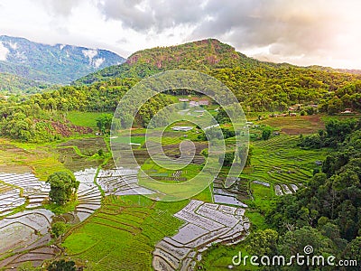 View of rice paddy and rice terrace landscape. Stock Photo