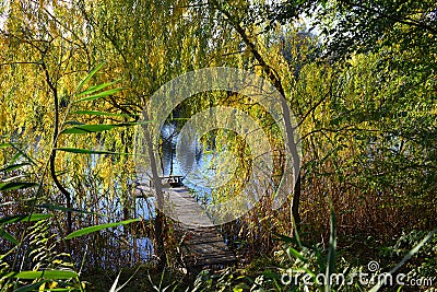 A view of river bathed in golden light with a wooden pontoon and a weeping willow tree. Beautiful autumn Stock Photo