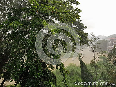 View of the river Mahaweli Ganga in Kandy In the rain Stock Photo