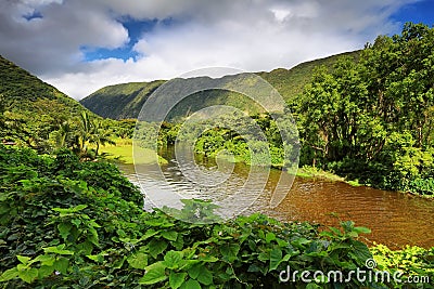 View of the river in Waipio Valley Stock Photo