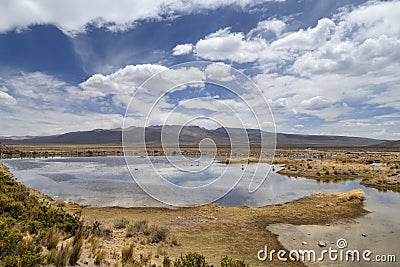 View from the road between Arequipa and Colca Canyon, Peru Stock Photo