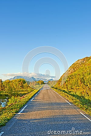 View of a road and green vegetation leading to an idyllic secluded area in summer. Big green trees surrounding an empty Stock Photo