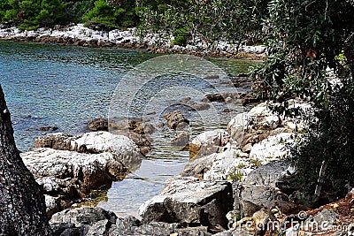 Rocky coast of Croatian Istria, Rovinj, Croatia Stock Photo