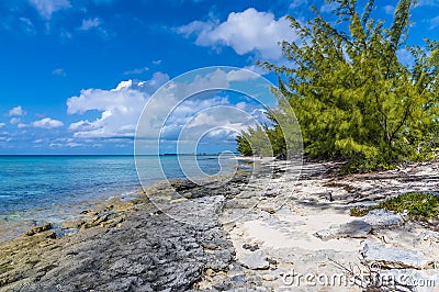 A view of a rocky shoreline on a deserted beach on the island of Eleuthera, Bahamas Stock Photo