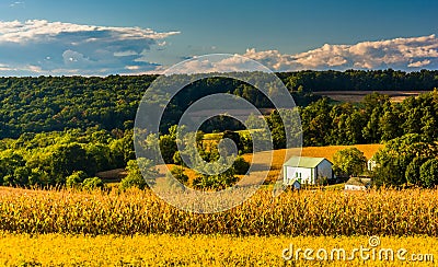 View of rolling hills near Cross Roads, Pennsylvania. Stock Photo