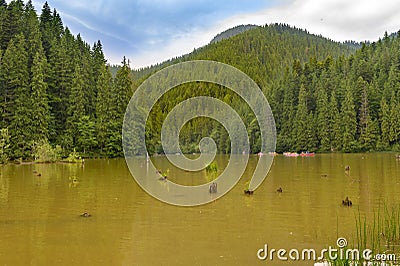 View of Rosu Lake, Romania Stock Photo