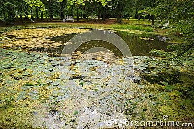 View on the Round pond Stock Photo