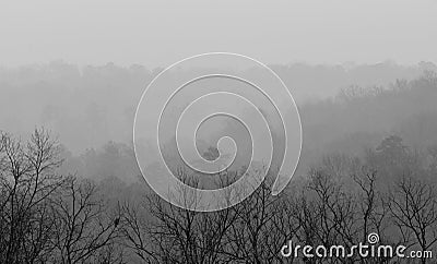 View From Ruffner Mountain on a Foggy Day Stock Photo