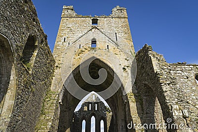 View of the ruins of the former Dunbrody Abbey Stock Photo