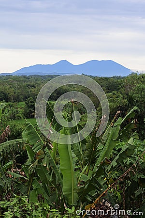 View Rural Agricultural and landscape in Sukabumi, West Java Indonesia Stock Photo