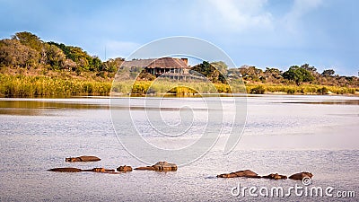 View of the Sabie Sand River Stock Photo