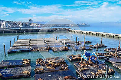 San Francisco Skyline from Pier 39 with Sea Lions, Liberty Ship from WWII and Golden Gate Bridge in Fog Editorial Stock Photo