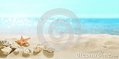 View of the sandy beach. Shells in the sand. Stock Photo
