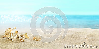 View of the sandy beach. Shells in the sand. Stock Photo