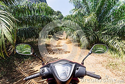 View from the scooter driver seat over the jungle road in Krabi province, Thailand Stock Photo