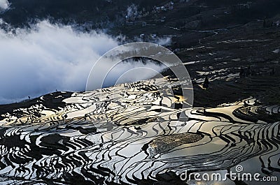 Sea of clouds at sunrise in Duoyishu Yuanyang rice terraces Honghe Yunnan Province China Stock Photo