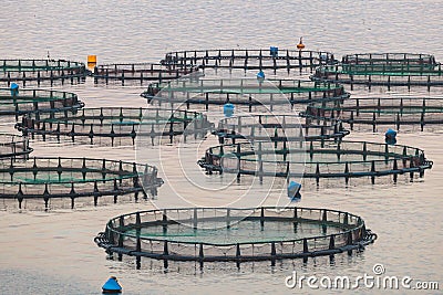 View of sea fish farm cages and fishing nets, farming dorado, sea bream and sea bass, process of feeding the fish a forage, with Stock Photo