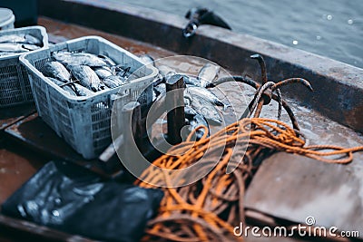 Fish catch on the deck of fishing-boat Stock Photo