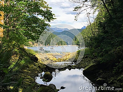 A view from the shore in Roscoe Bay, in Desolation Sound, Britis Stock Photo