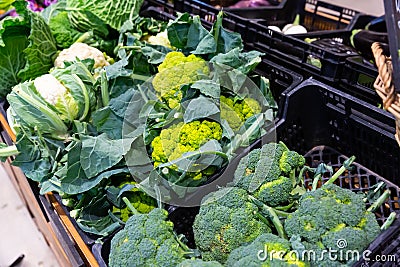 Cabbage, cauliflower, broccoli and broccoflower in greengrocery Stock Photo