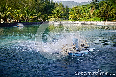 view of shrimp farm with rotating water wheel, mountains background, tambak udang. Stock Photo