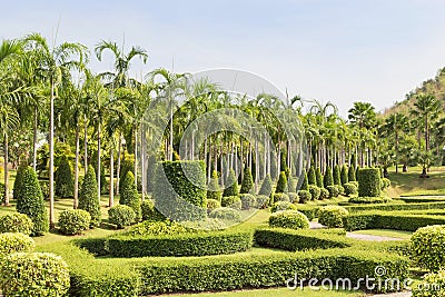 View of shrub trimming ornamental in public green park and grass field Stock Photo