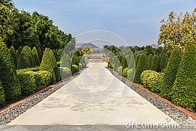 View of shrub trimming ornamental in public green park and grass field Stock Photo