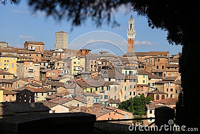 View on Siena highest tower `Torre del Mangia` Editorial Stock Photo