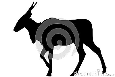 View on the silhouette of a common eland antelope Vector Illustration