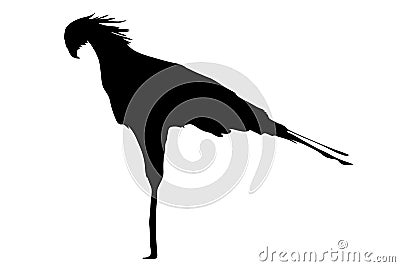 View on the silhouettes of a secretary Bird Vector Illustration