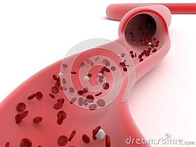 View of a sliced open blood vessel Stock Photo