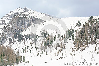 View of the slope of the mountain i Stock Photo