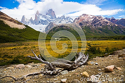 Vegetation on Andes foothills and slopes Stock Photo