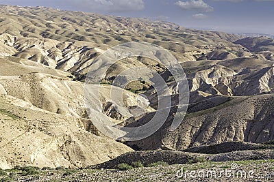 View of the slopes of the sandy mountains of the Judean Desert covered with spring vegetation Stock Photo