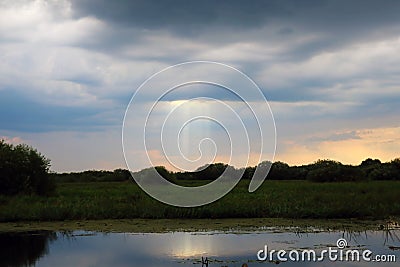 View of a small lake that is overgrown Stock Photo