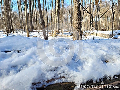 View From a Snow-Covered Log Stock Photo