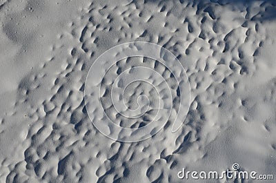 View of a snowy meadow with long snowy human footprints. Drone view creates a pattern of dispersion and paths of human footsteps o Stock Photo