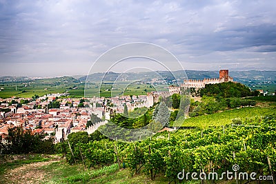 View of Soave (Italy) and its famous medieval castle Stock Photo