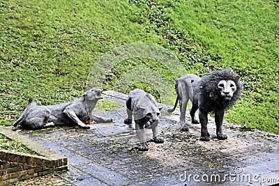 A view of some Stone Lions at the Tower of London Editorial Stock Photo