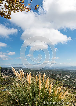 View South from Ubeda Stock Photo