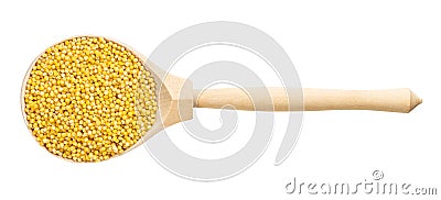 View of spoon with polished proso millet grains Stock Photo