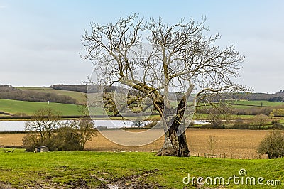 A view from Stoke Dry towards Eyebrook reservoir, Leicestershire Stock Photo