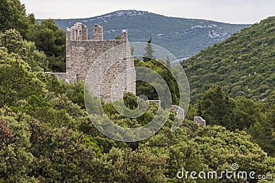 View of Ston wall old fortress in Croatia. Editorial Stock Photo