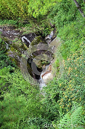 View of stone cave and small waterfall in a forest. Landscape of a jungle, limestones and water flowing and cascading to riverbed. Stock Photo