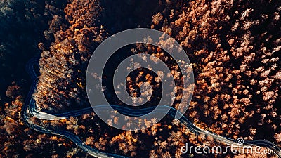 Aerial view of straight forest road in the mountains. Colourful landscape with asphalt road, trees with leaves at sunset Stock Photo