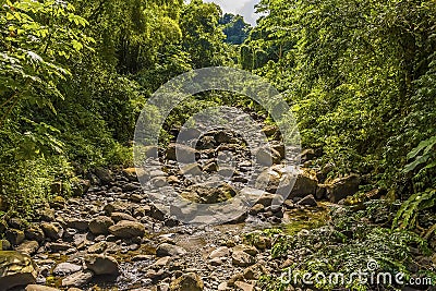 A view of a stream on Mount Soufriere in Saint Vincent Stock Photo