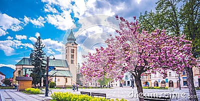 View in sunny day with blossoming tree . buildings in the city center of Liptovsky Mikulas. town in northern Slovakia, in the his Editorial Stock Photo