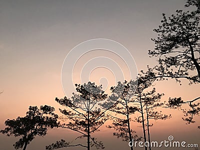 View before sunrise , phu kradung Stock Photo