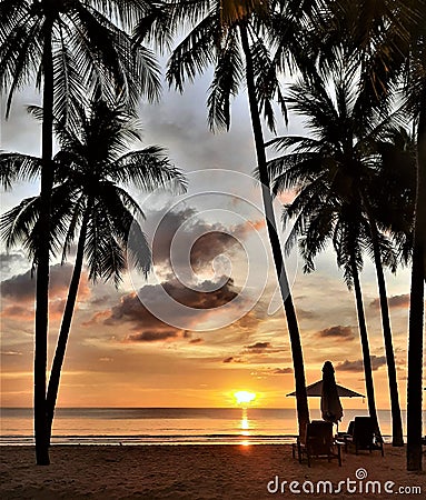 Sea sunset, horizon view through silhouette of coconut trees on the beach, orange sunbeam in Phangnga Thailand Stock Photo